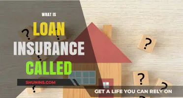 Loan Insurance: What's in a Name?