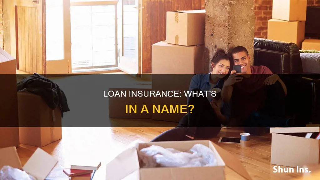 what is loan insurance called