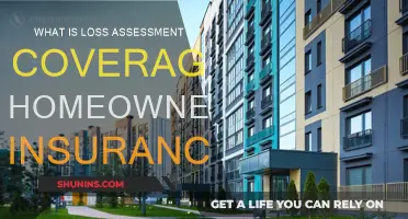 Loss Assessment Coverage: Protecting Your Homeowner Rights