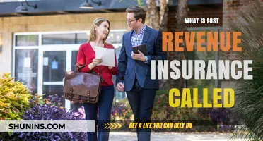 Maximizing Revenue: Lost Revenue Insurance Explained