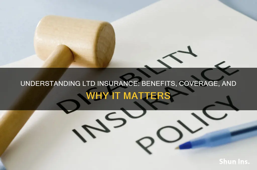 what is ltd insurance