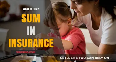 Understanding Lump Sum Insurance Payments: Benefits, Uses, and Considerations