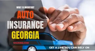 Auto Insurance in Georgia: What's Legally Required?