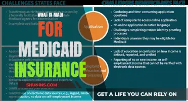 Understanding MAGI: The Key to Medicaid Eligibility