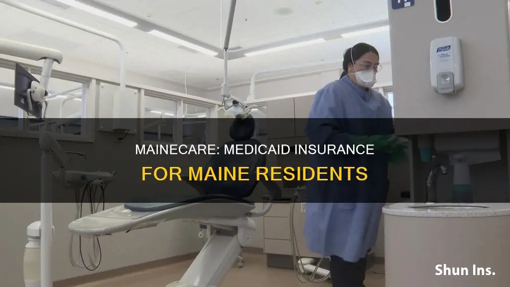 what is mainecare considered as for insurance