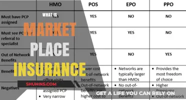 Understanding the Basics of Marketplace Insurance