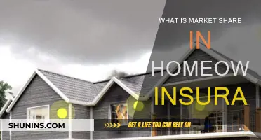 Understanding Homeowners Insurance Market Share