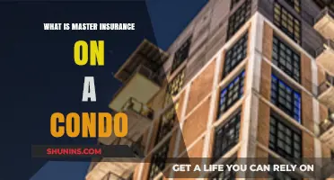 Understanding Master Insurance Policies for Condominium Owners and Residents
