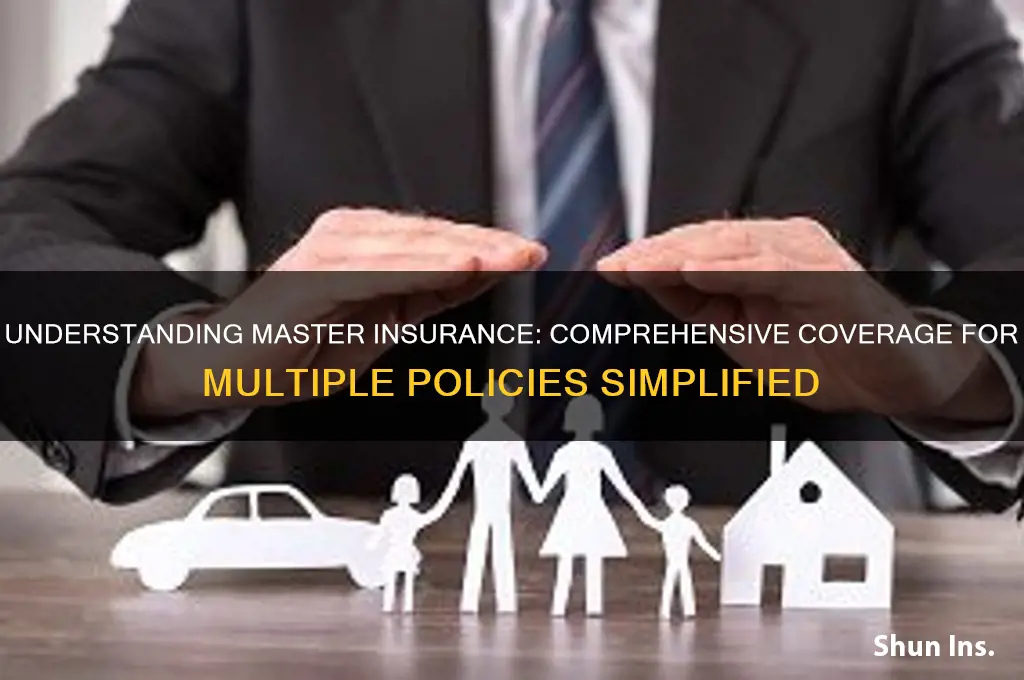 what is master insurance