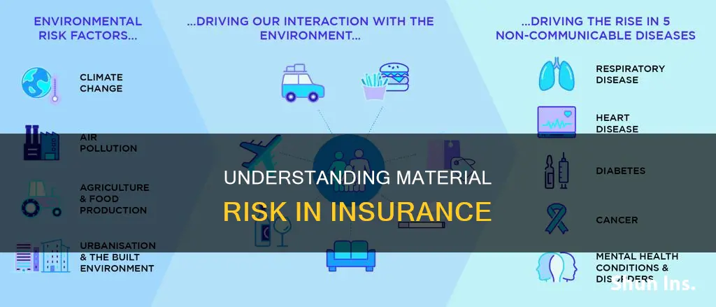 what is material risk in insurance