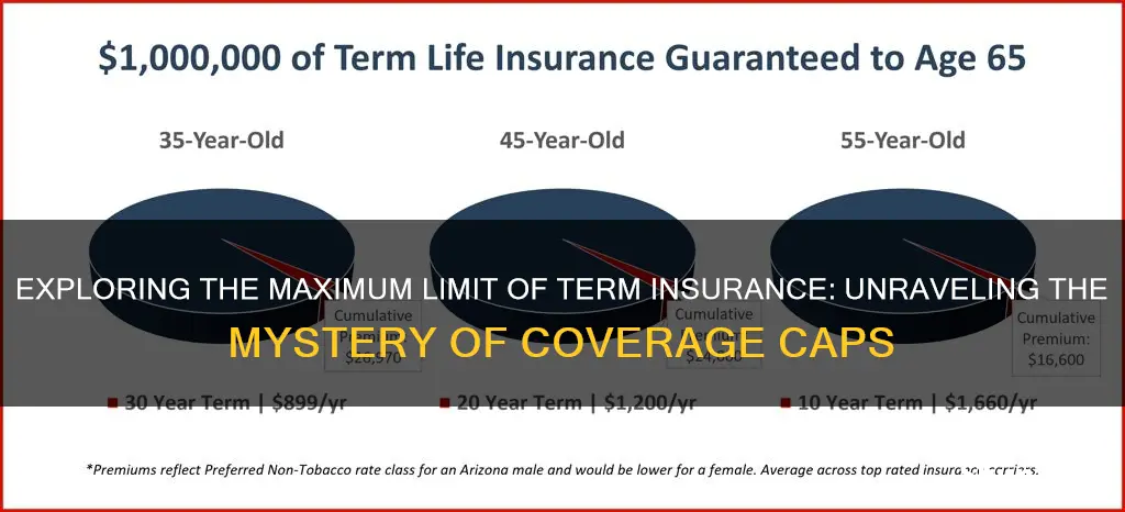 what is max limit in term insurance