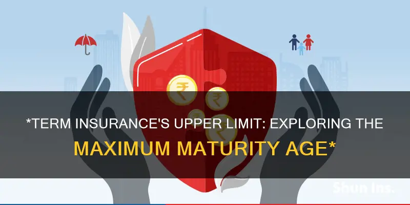 what is maximum maturity age in term insurance