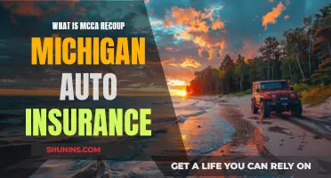 Michigan Auto Insurance: Understanding MCCA Recoup