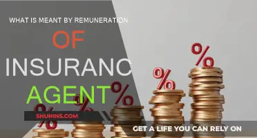 Understanding Insurance Agent Remuneration