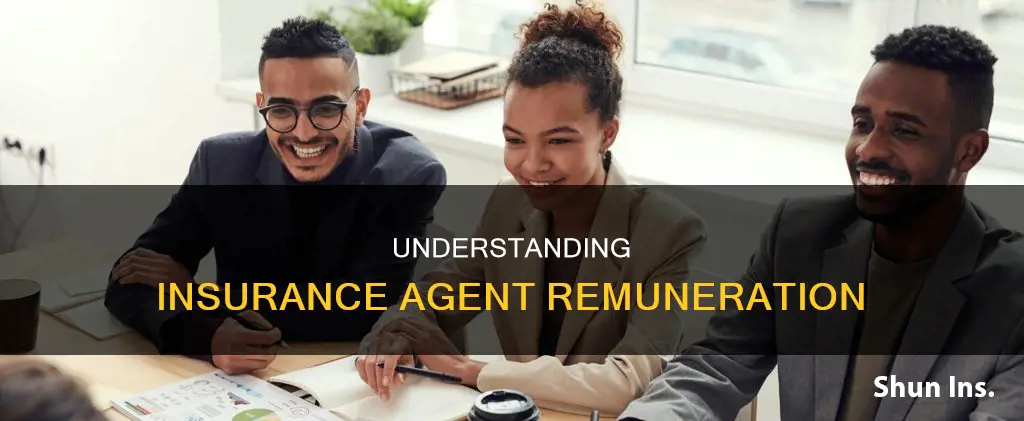 what is meant by remuneration of insurance agent