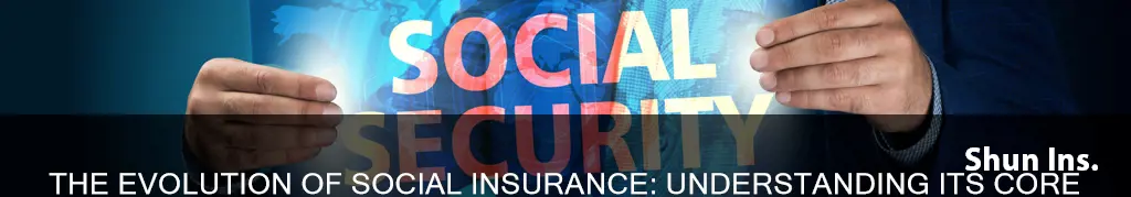 what is meant by the term social insurance