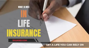 Understanding MEC: Life Insurance's Essential Clause