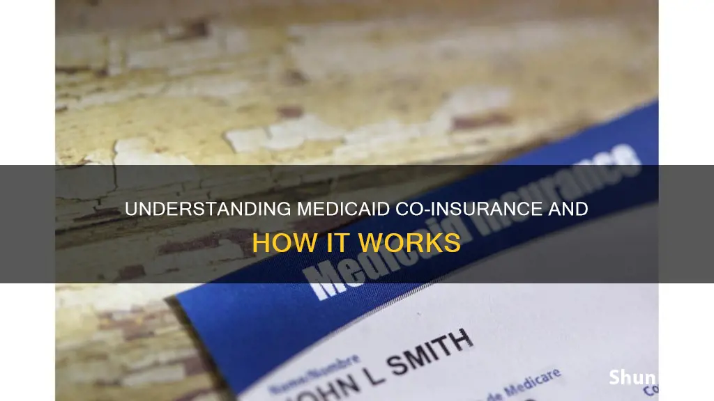 what is medicaid co insurance