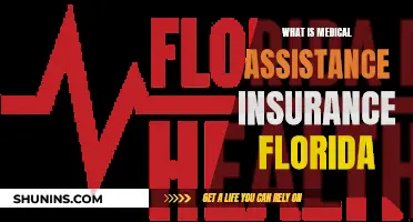 Florida's Medical Assistance Insurance: What You Need to Know