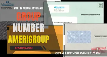 Understanding Your Amerigroup Medical Insurance Group Number