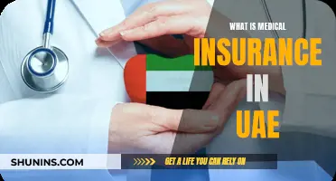Understanding Medical Insurance in the UAE