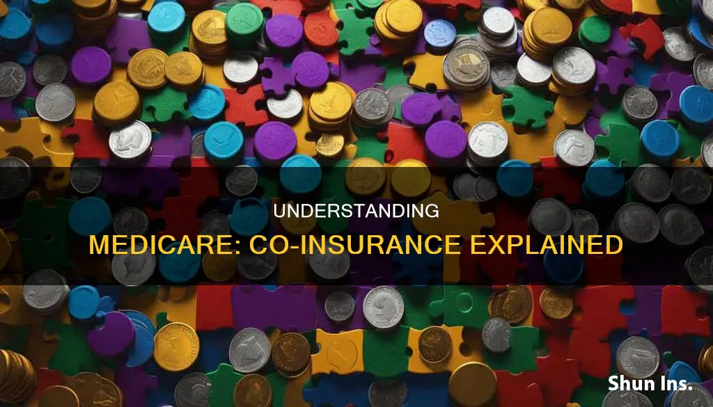 what is medicare co insurance