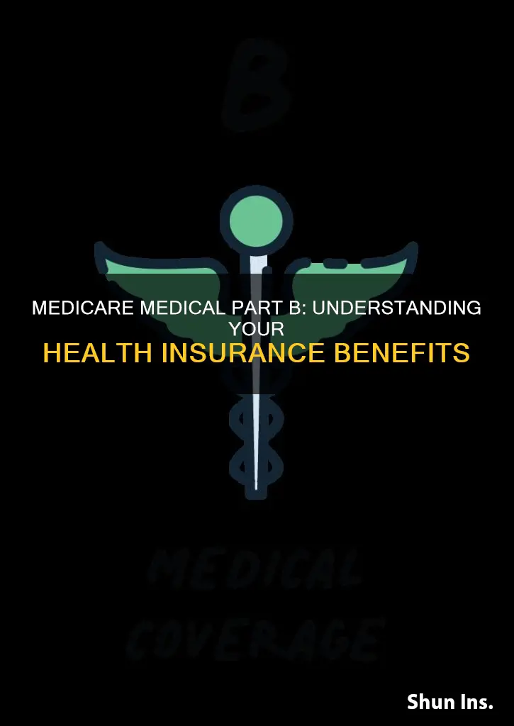 what is medicare health insurance medical part b