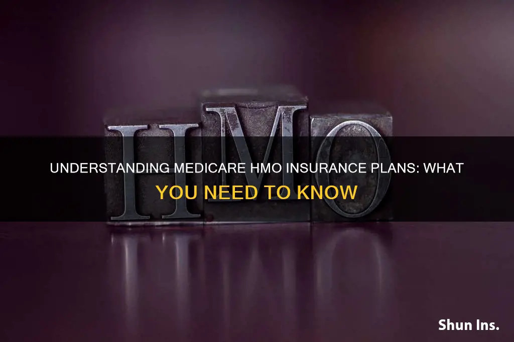 what is medicare hmo insurance