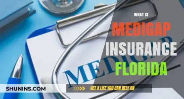 Medigap Insurance Florida: What You Need to Know