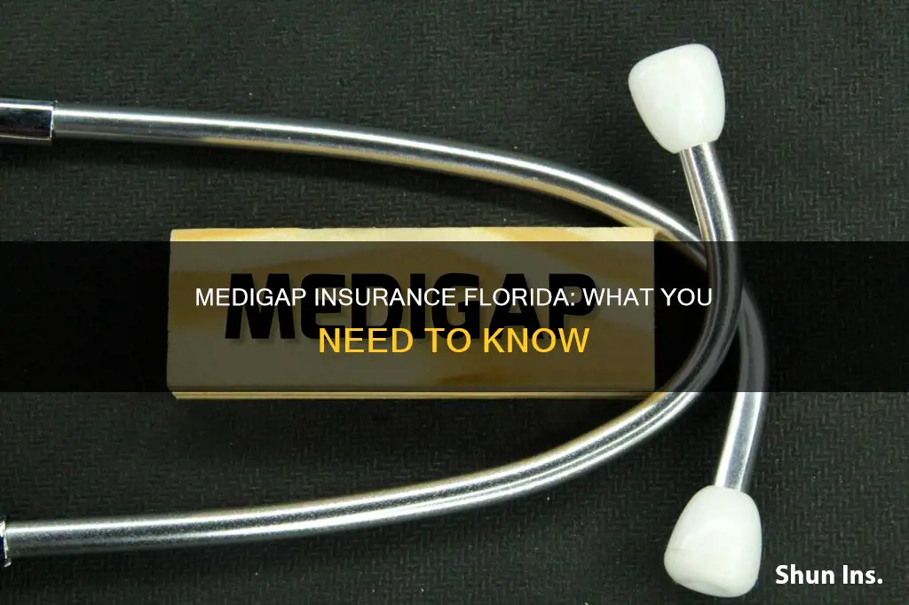 what is medigap insurance florida