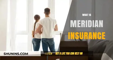 Understanding Meridian Insurance: Coverage, Benefits, and How It Works