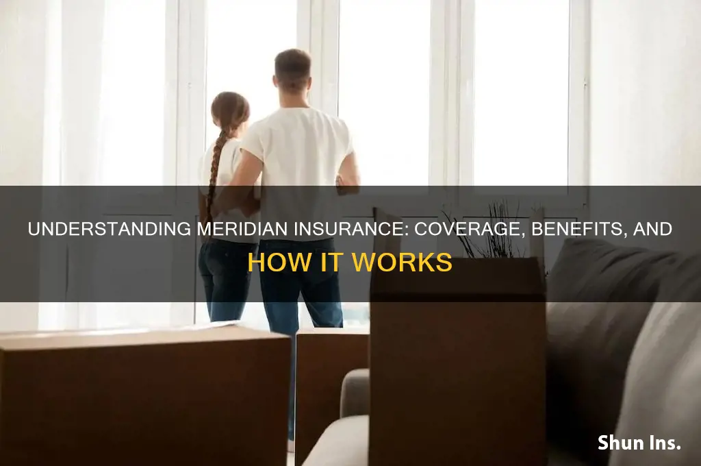 what is meridian insurance