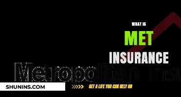 Understanding Met Insurance: Coverage, Benefits, and How It Protects You