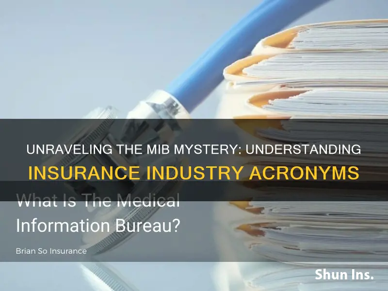 what is mib in insurance terms