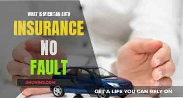 Michigan Auto Insurance: Understanding the No-Fault System