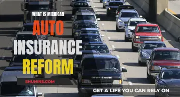 Michigan Auto Insurance Reform: What's Changing and Why