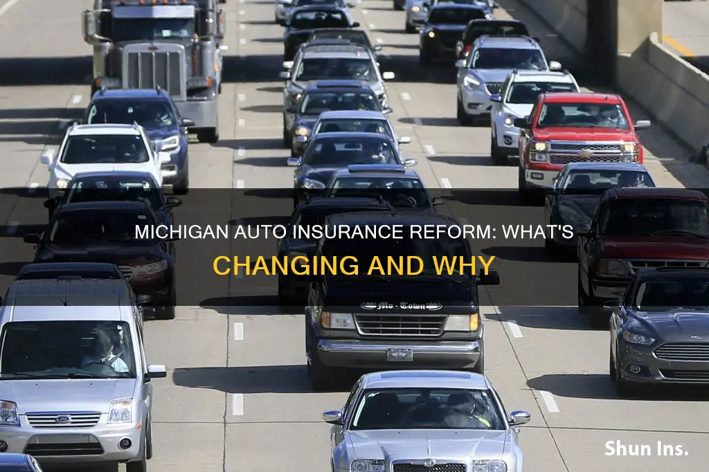 what is michigan auto insurance reform