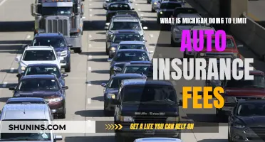 Michigan's Auto Insurance Reform: Limiting Fee Hikes