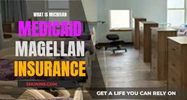 Navigating Michigan's Medicaid Magellan Insurance: Understanding Your Coverage