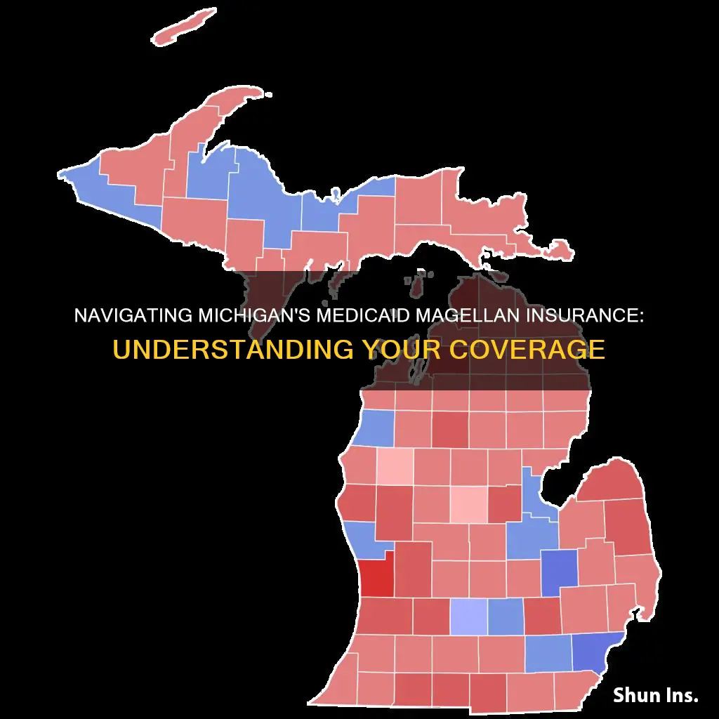 what is michigan medicaid magellan insurance