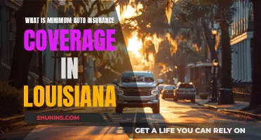 Louisiana Auto Insurance: Minimum Coverage Requirements Explained