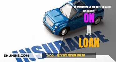 Auto Loan Insurance: Minimum Coverage Requirements Explained