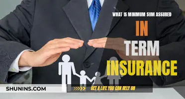 Understanding the Fundamentals of Minimum Sum Assured in Term Insurance