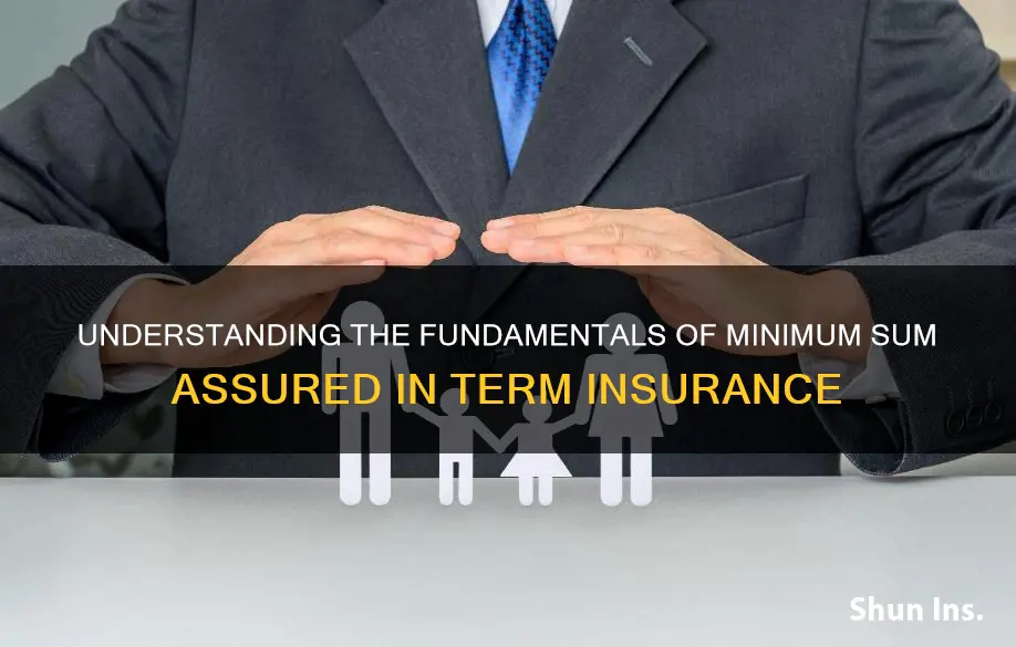 what is minimum sum assured in term insurance