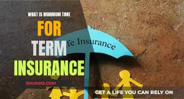 Term Insurance: Exploring the Minimum Duration for Coverage