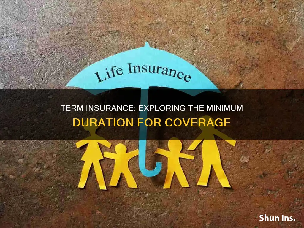 what is minimum time for term insurance