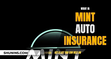 Mint Auto Insurance: What You Need to Know