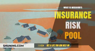 Missouri's Insurance Risk Pool: Who Benefits?