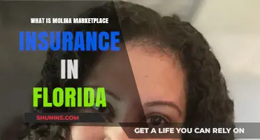 Molina Marketplace Insurance: Florida's Comprehensive Coverage