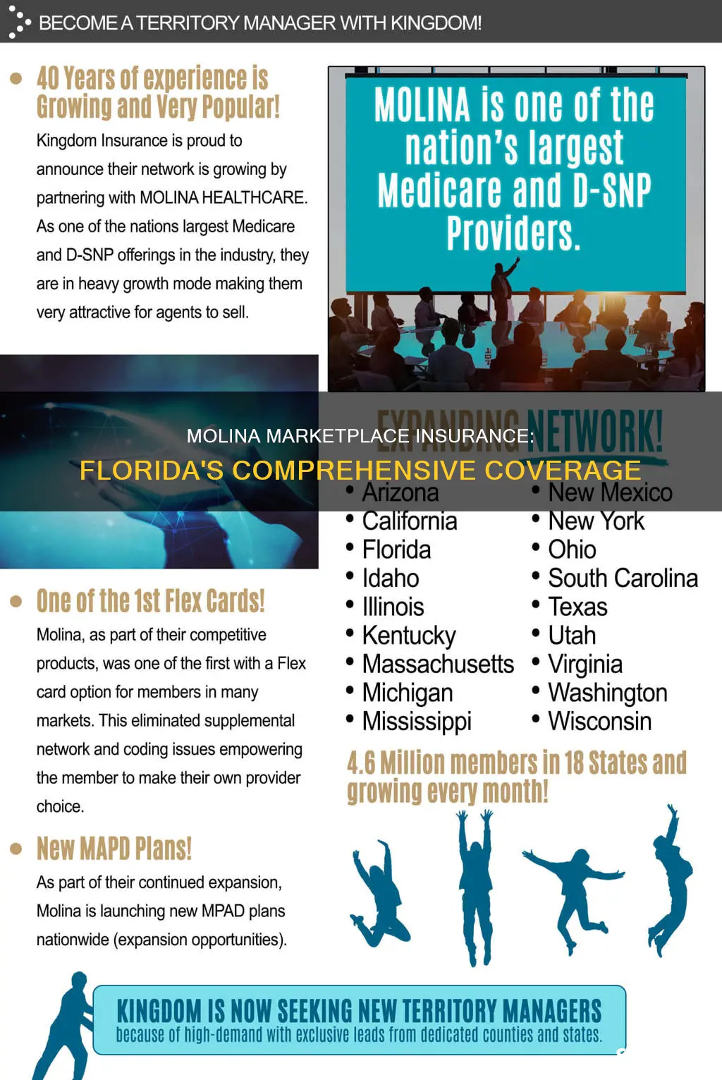 what is molina marketplace insurance in Florida